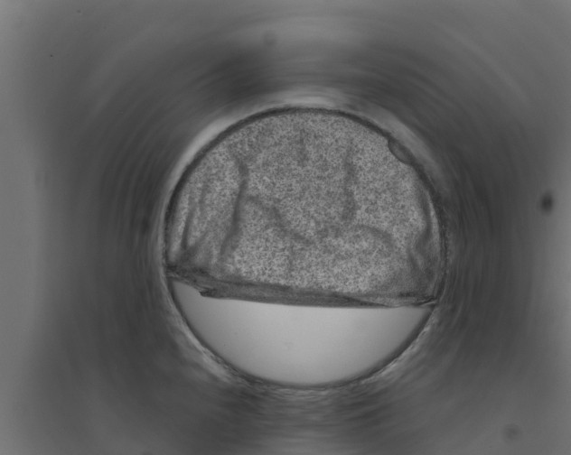 X0000094171240200711241523