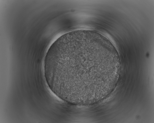 X0000094171243200711241523