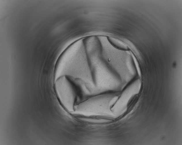 X0000094171244200711241523