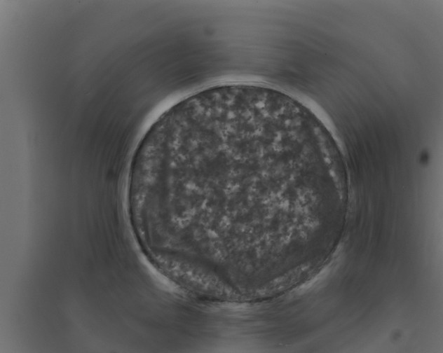 X0000094171245200711241523