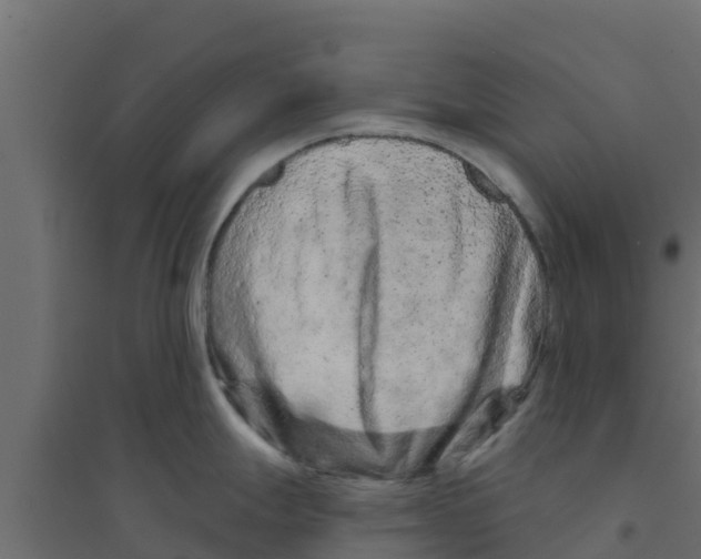 X0000094171247200711241523