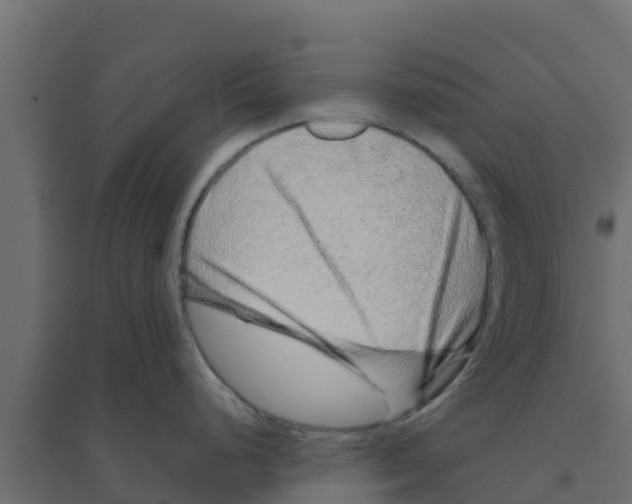 X0000094171248200711241523