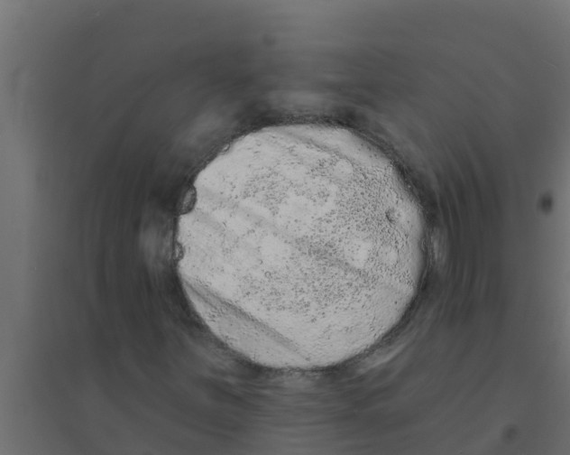 X0000094171251200711241522