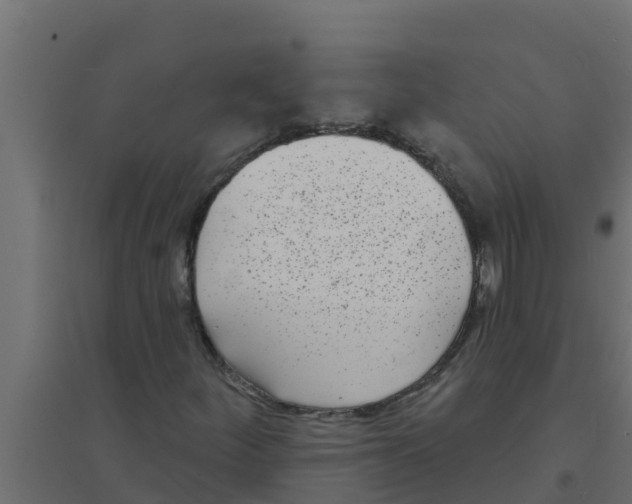 X0000094171252200711241522