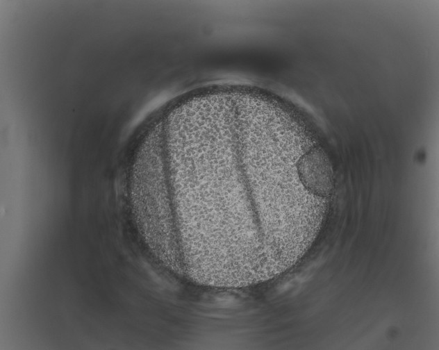 X0000094171255200711241522