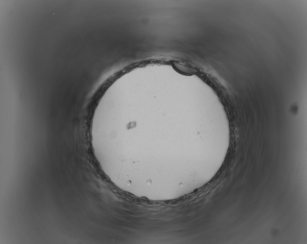 X0000094171256200711241522