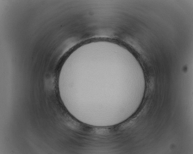 X0000094171258200711241522