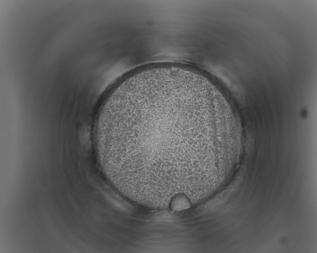 X0000094171259200711241522