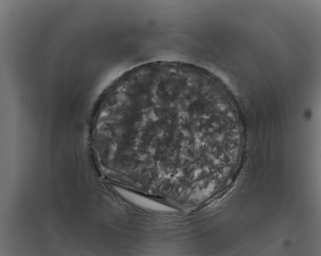 X0000094171263200711241522