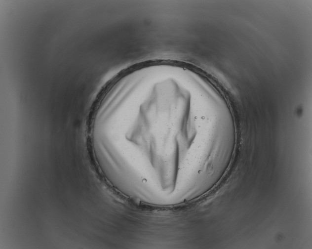 X0000094171264200711241522