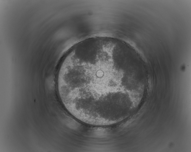 X0000094171266200711241522