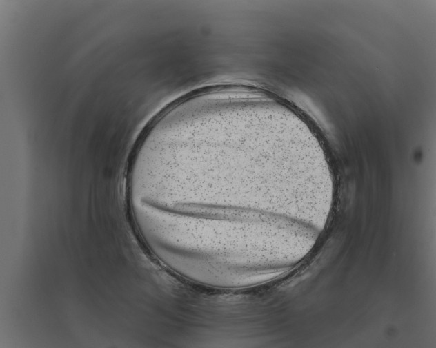 X0000094171268200711241522