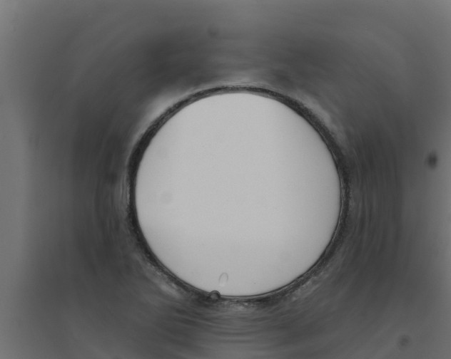 X0000094171270200711241522