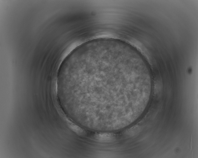 X0000094171274200711241522