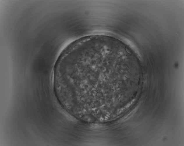 X0000094171275200711241522