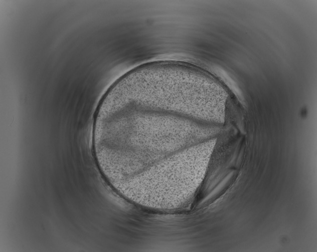 X0000094171276200711241522