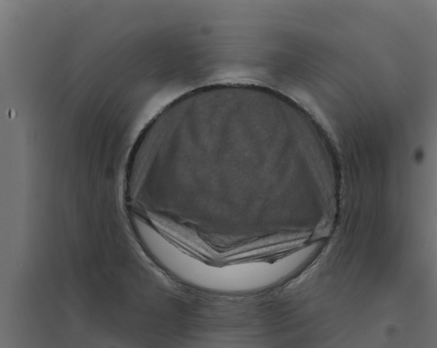 X0000094171277200711241522