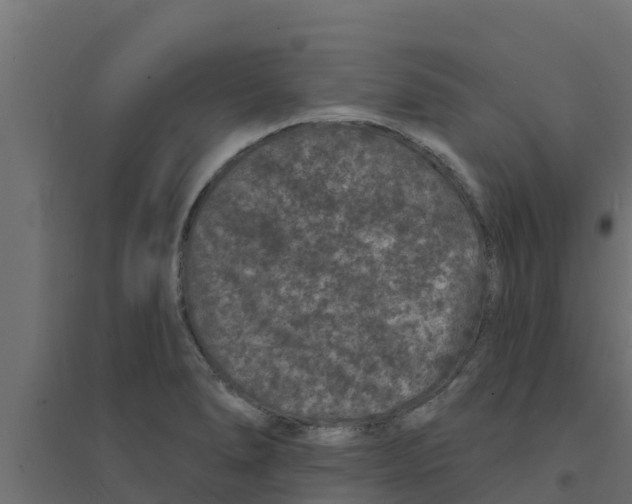 X0000094171278200711241522