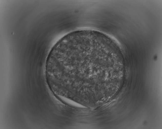 X0000094171279200711241522