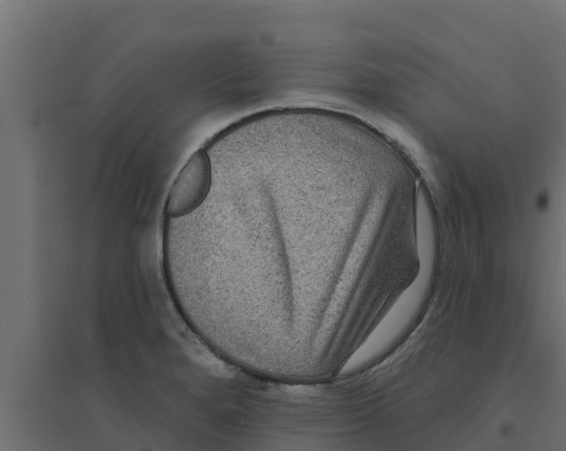 X0000094171280200711241522