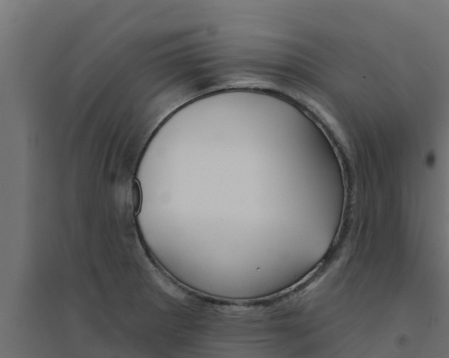 X0000094171281200711241522