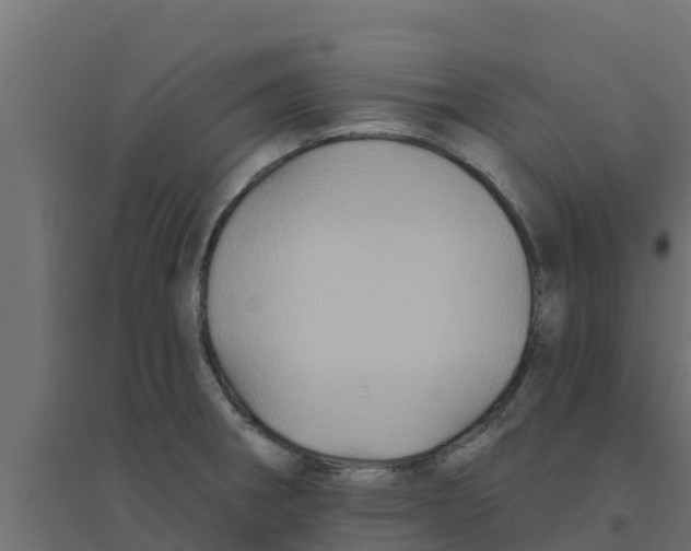 X0000094171282200711241522