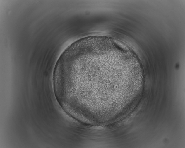 X0000094171283200711241522