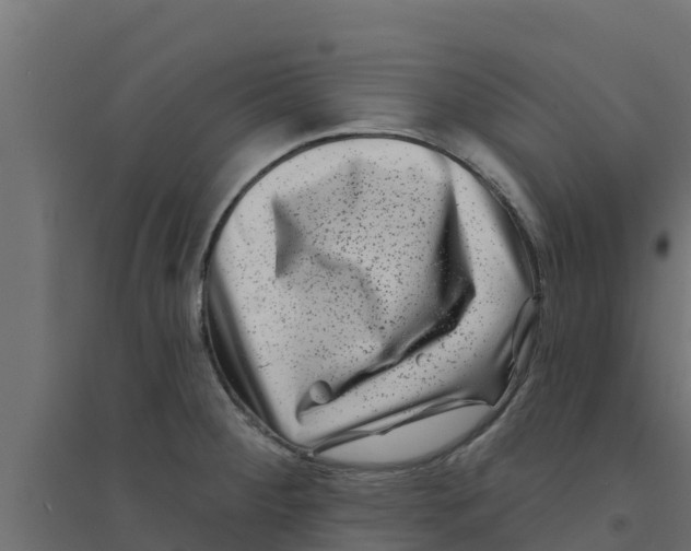 X0000094171284200711241522