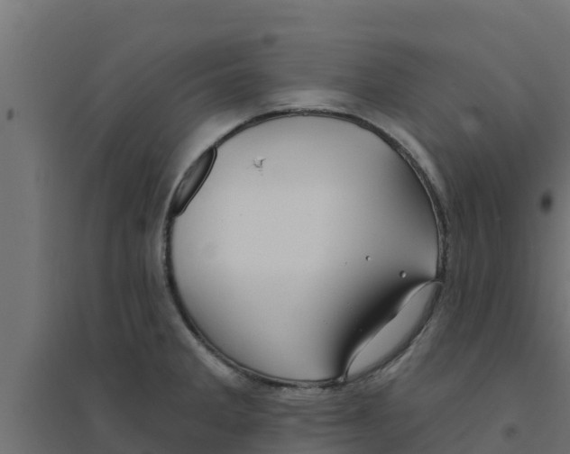 X0000094171285200711241522