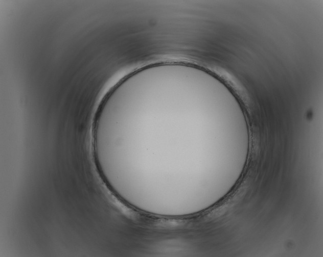 X0000094171286200711241522