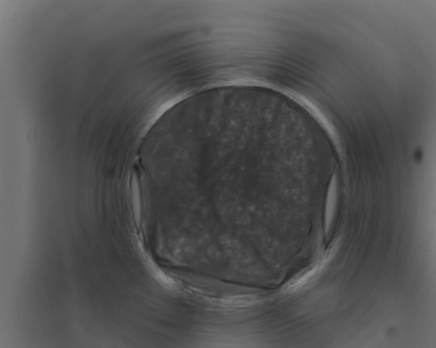 X0000094171289200711241522