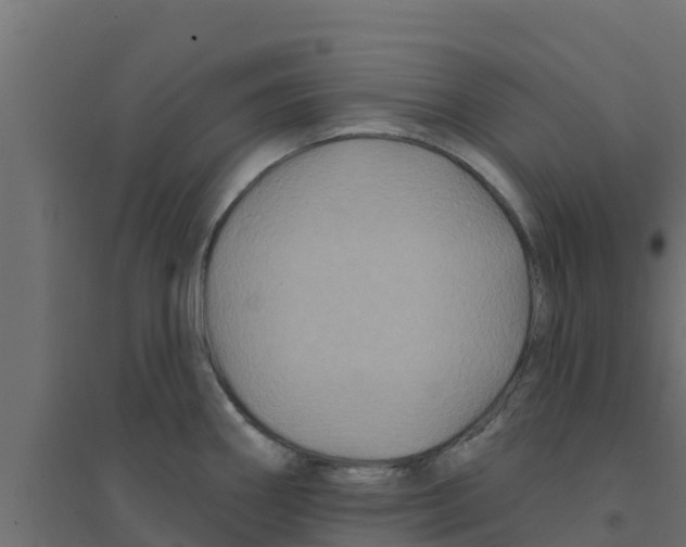 X0000094171290200711241522