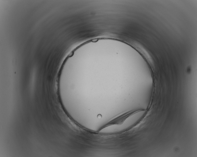 X0000094171292200711241522