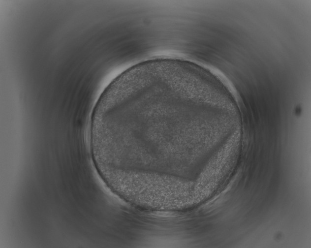 X0000094171295200711241522