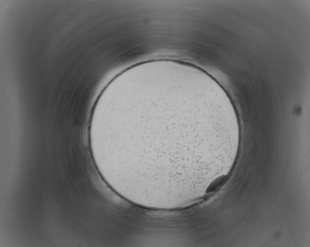 X0000094171296200711241522