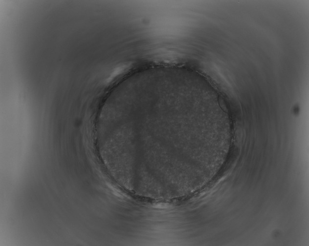 X0000094171297200711241521