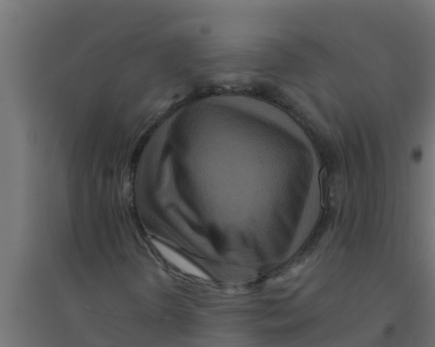 X0000094171298200711241521