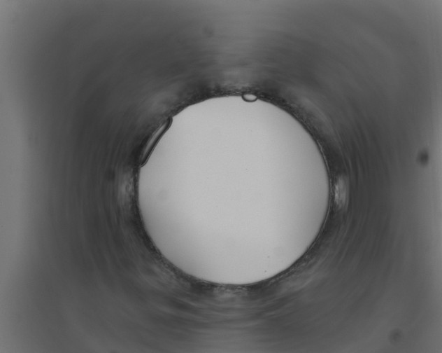 X0000094171299200711241521