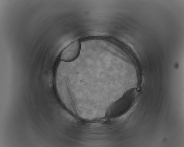 X0000094171306200711241521