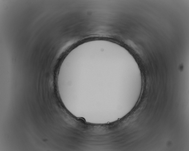 X0000094171307200711241521