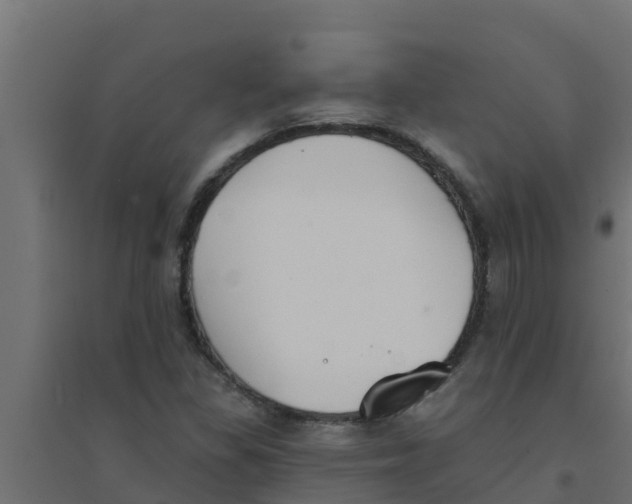 X0000094171309200711241521