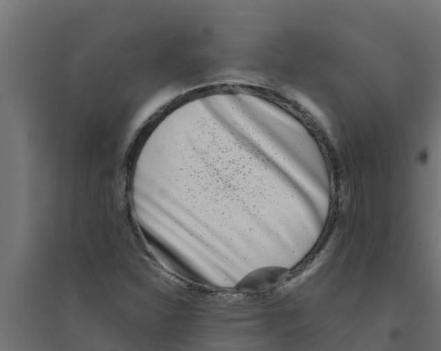 X0000094171310200711241521