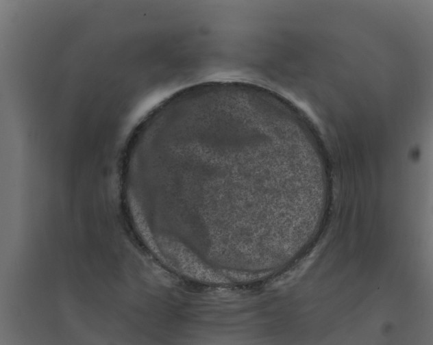 X0000094171311200711241521