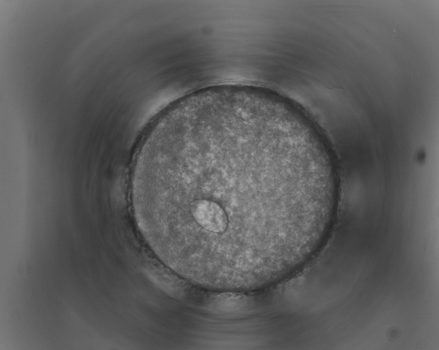 X0000094171314200711241521