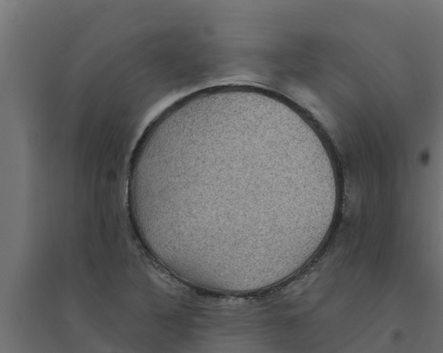 X0000094171316200711241521