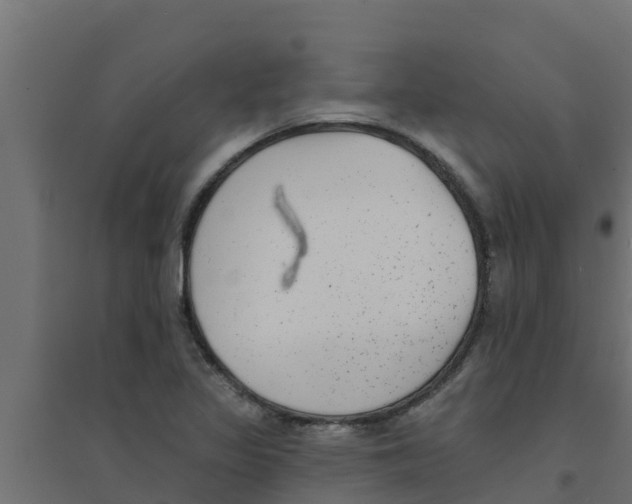 X0000094171317200711241521