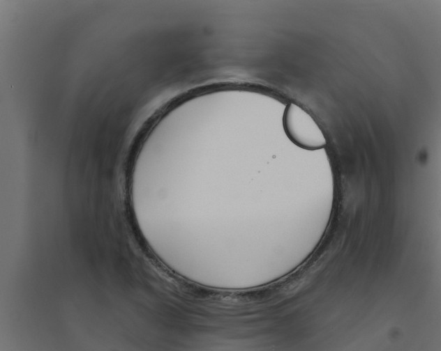 X0000094171318200711241521