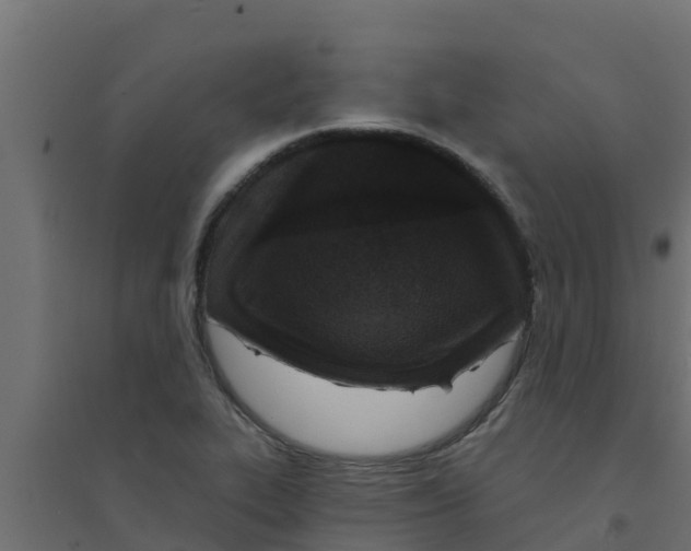 X0000094171319200711241521