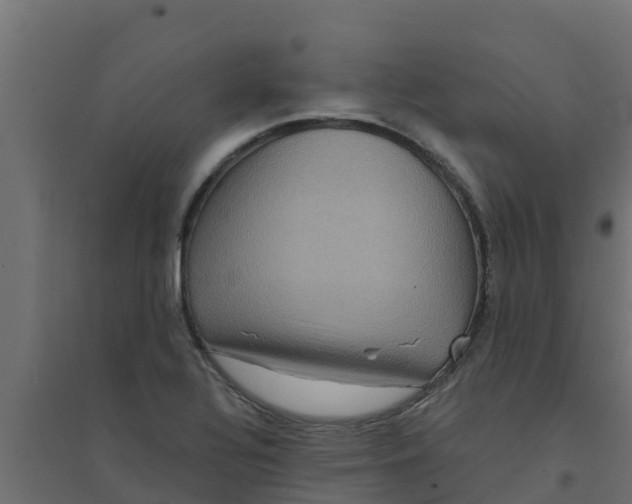 X0000094171320200711241521