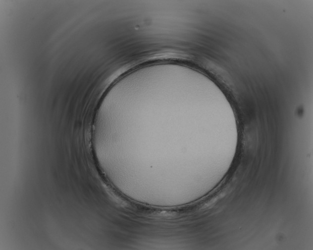 X0000094171321200711241521